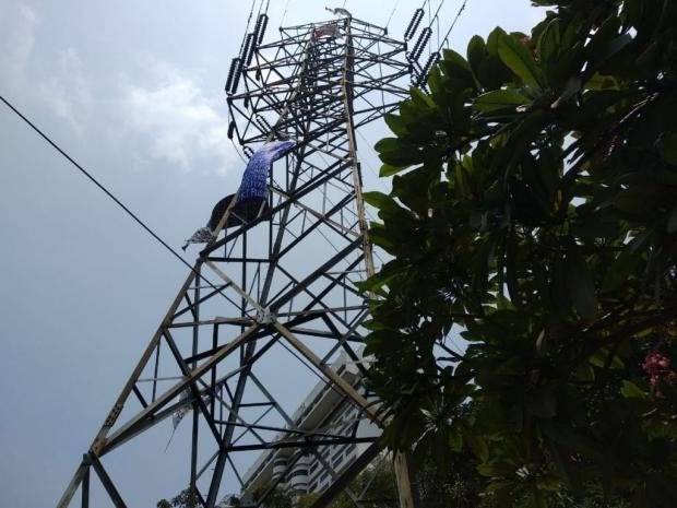 Wanita ini Nekat Memanjat Menara SUTET di Kulim, Tenayan Raya.