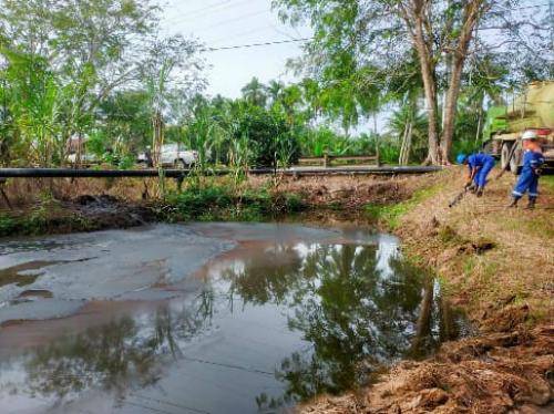 Tanaman dan Tanah Warga Tercemar Bocoran Pipa Minyak PT BSP