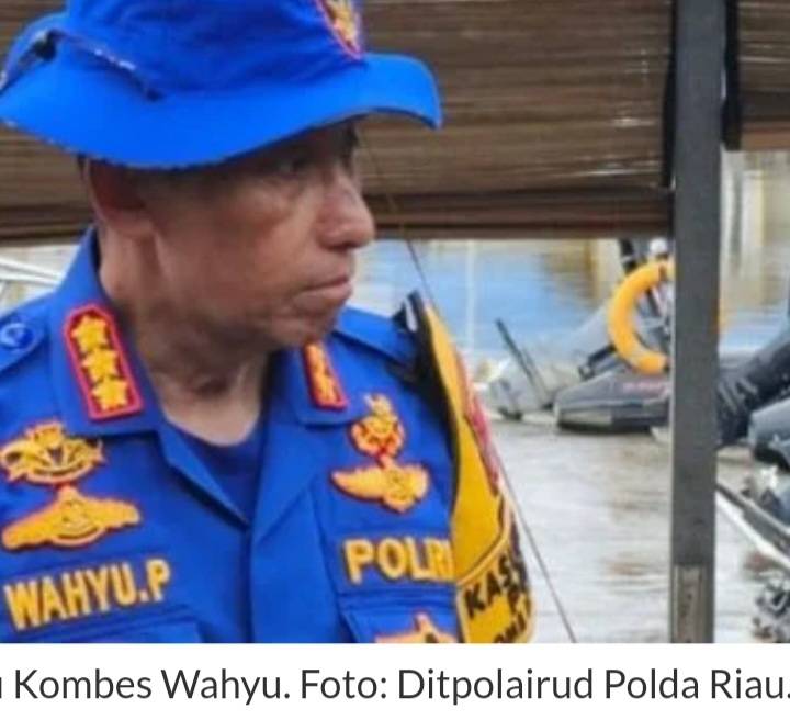 Polda Riau Amankan 3 Pelaku Ilegal Logging, Kombes Wahyu: Kita Tindak Tegas