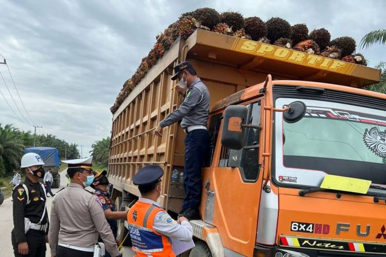 Terindikasi ODOL, Dishub Riau Tilang 73 Truk