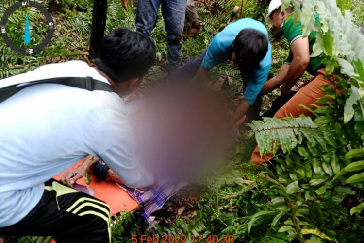 Pekerja PT SPA Gaung Inhil Diduga Dimangsa Harimau