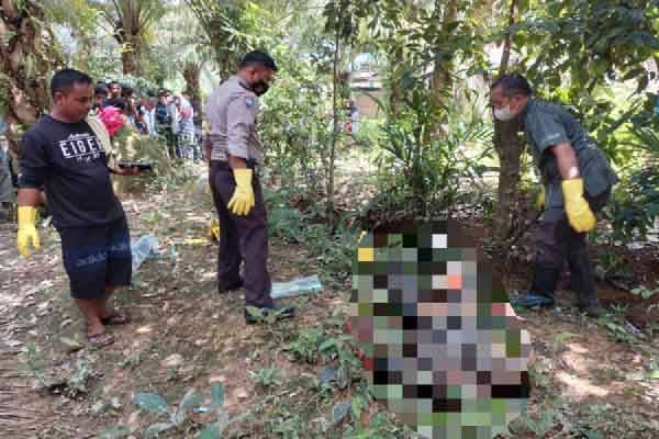 Mayat Ajo Ditemukan Sudah Membusuk dalam Parit di Dusun Domo