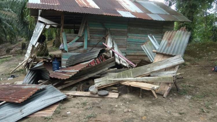 Kawanan Gajah Mengamuk, Tiga Rumah Warga Dirusak di Kota Garo