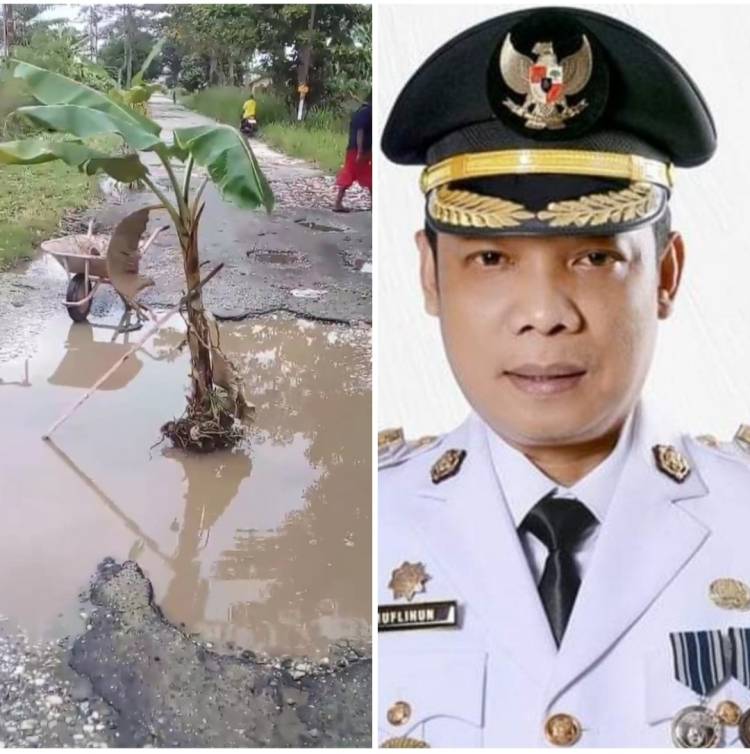 Warga Pekanbaru Tanam Pohon Pisang di Tengah Jalan