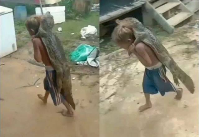 Bocah ini Gendong Buaya Seperti Mainan