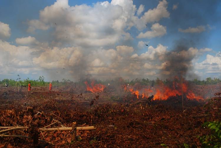 Cuaca Ekstrem, Riau Ditetapkan Siaga Darurat Karhutla