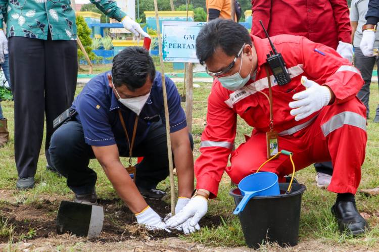 Pertamina Hijaukan Kota Dumai dengan 1.000 Bibit Pohon Tabebuya