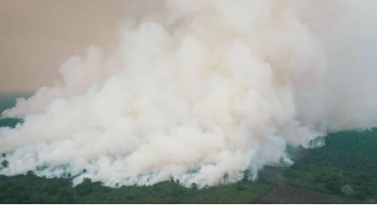 Pagi Ini, BPBD Riau Semai 1 Ton Garam di Langit Dumai