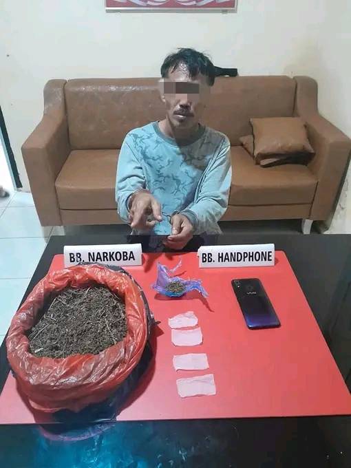 Bandar Gelek Asal Kampar, Riau Ditangkap di Kebun Sawit, 2 Kantong Barang Bukti Diamankan