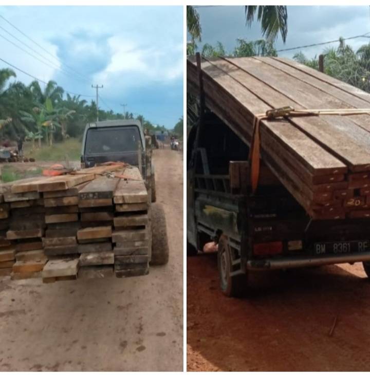 Perambahan Hutan di Kecamatan Sungai Sembilan Dumai Mengkhawatirkan