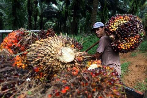 Malaysia Kuasai Pasar Ekspor CPO Indonesia