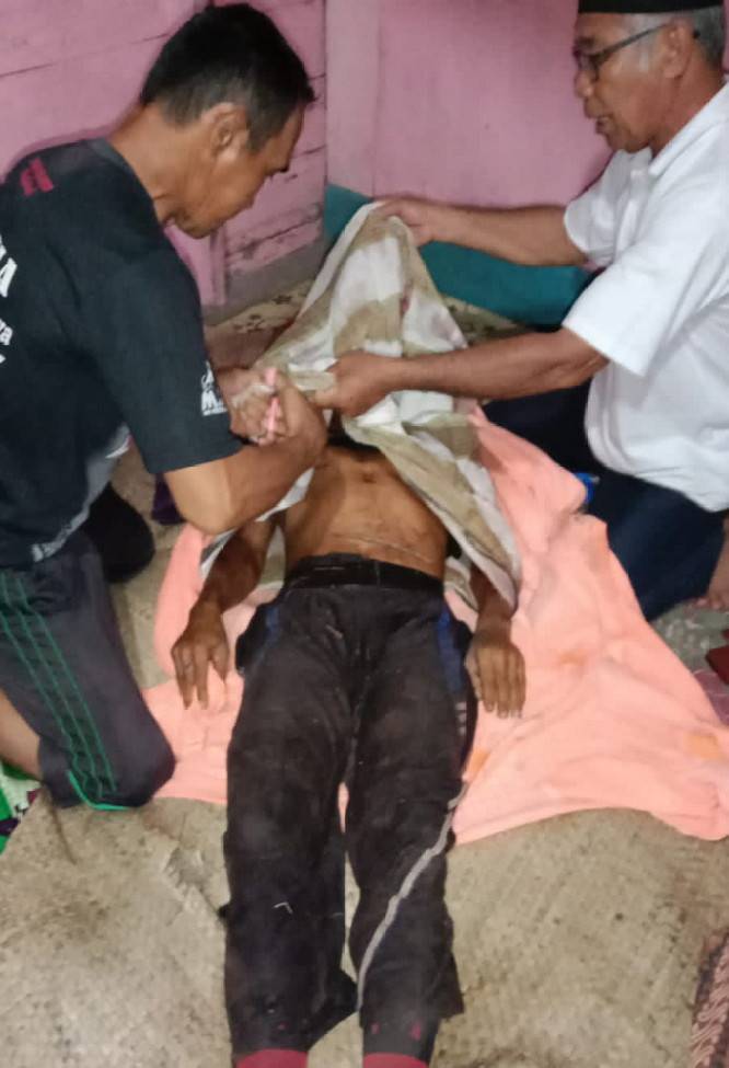 Pencari Kayu Tewas Diterkam Harimau Sumatera di Pembatasan Inhil-Ukui, Pelalawan