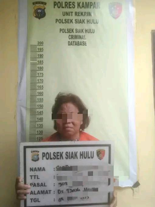 Wanita Paroh Baya Asal Riau Ini Ditangkap Polisi, Terlibat Judi Antar Negara