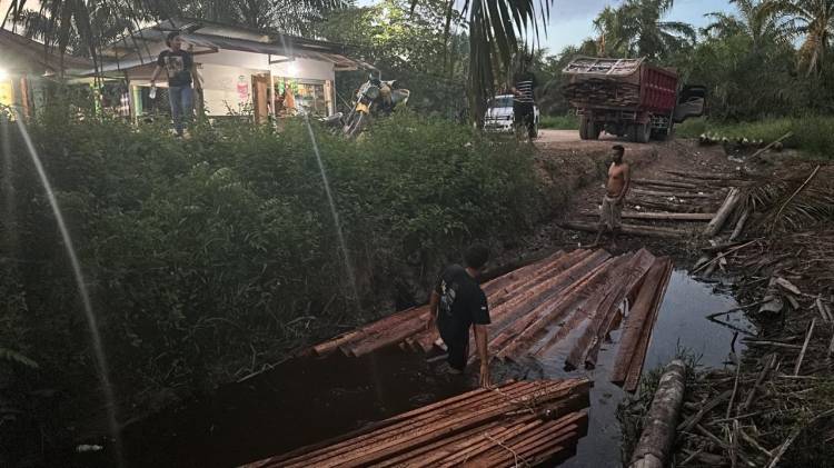 Jajaran Polda Riau Amankan Ratusan Keping Kayu Ilegal Logging di Pinggir Rawa-rawa