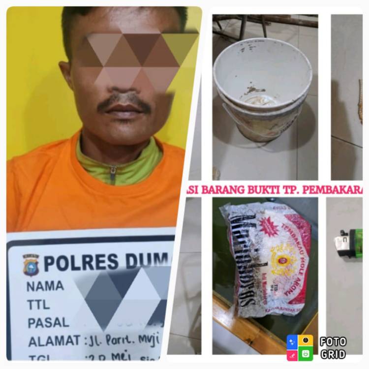 Satreskrim Polres Dumai Amankan Pria Pembakar Hutan di Perbatasan Bengkalis