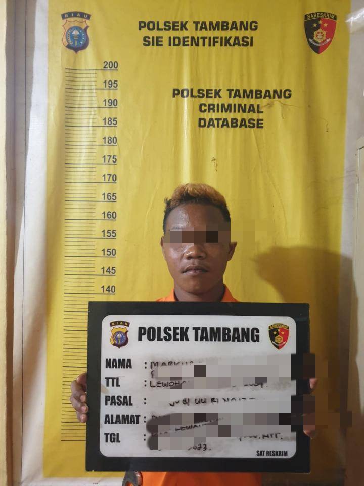 Bercocok Tanam dengan Murid SD, Remaja Pengangguran Ini Masuk Bui