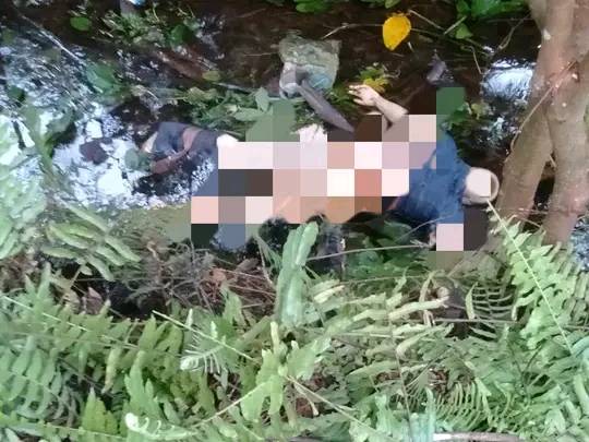 Geger!!! 6 Hari Hilang, Wanita Berbaju Biru Ditemukan Tewas Terlungkup di Kebun Sawit