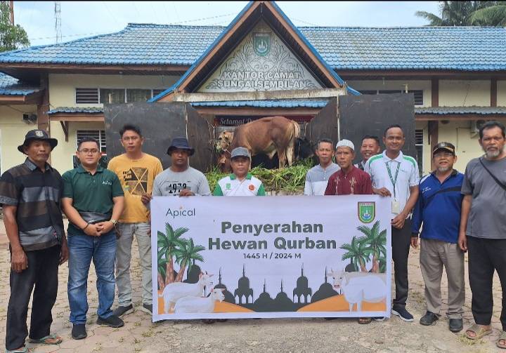 Idul Adha 2024, Apical Dumai Salurkan Hewan Kurban ke Masyarakat