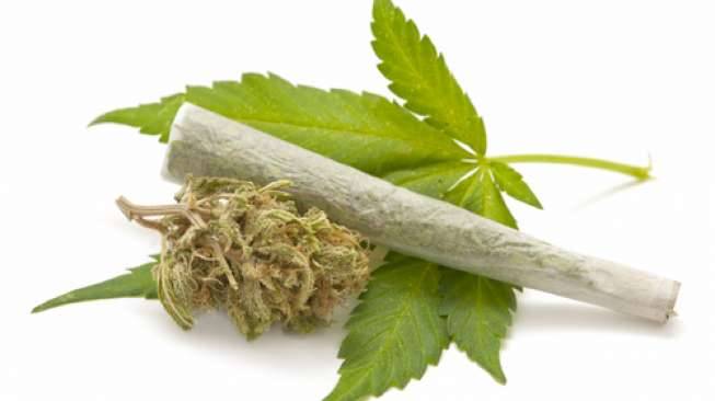 Mahasiswa Pekanbaru Simpan 1 Kilogram Ganja di Kamar Kos