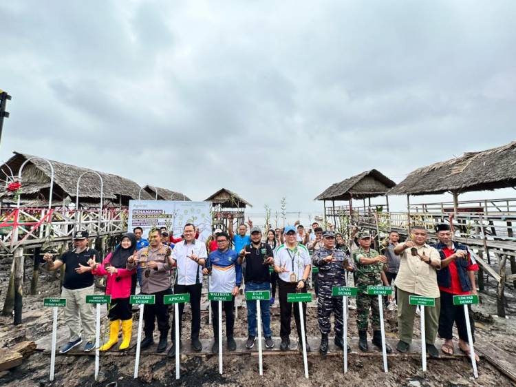 Dukung Pemerintah Jaga Lingkungan, Apical  Group Tanam 2.000 Mangrove di Pesisir Pantai Purnama, Dumai