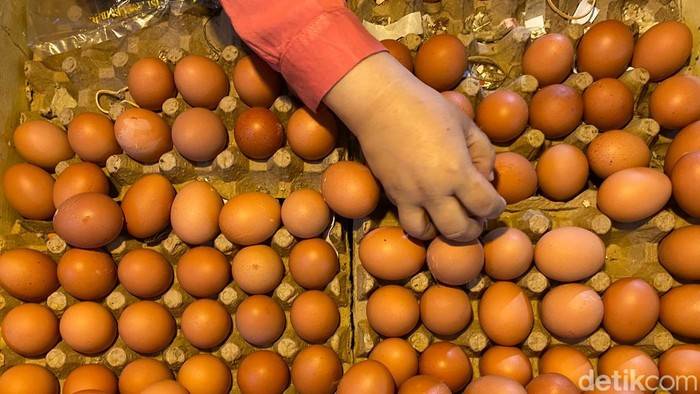 Harga Telur Tertinggi dalam Sejarah