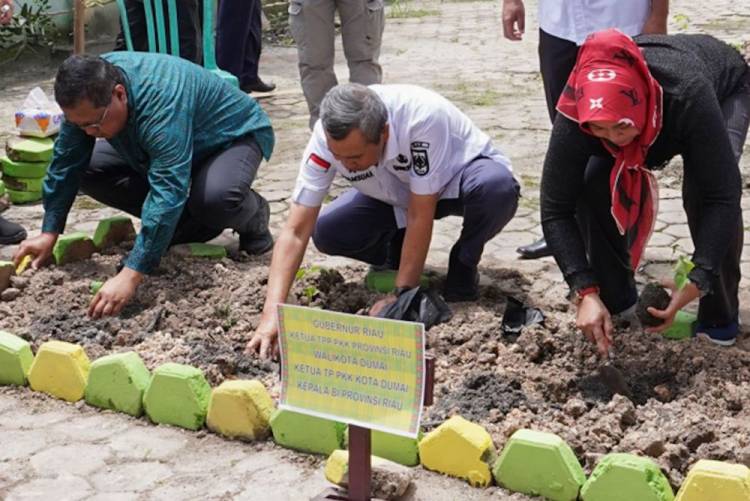 5.000 Bibit Cabai Disiapkan untuk Kota Dumai
