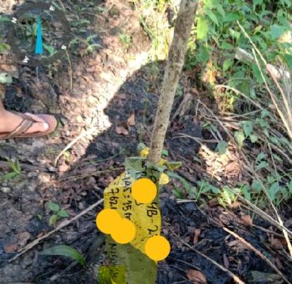 CPI Tinggalkan Jejak Limbah B3, Sugianto: Menteri Siti dan Gubri Harus Selesaikan