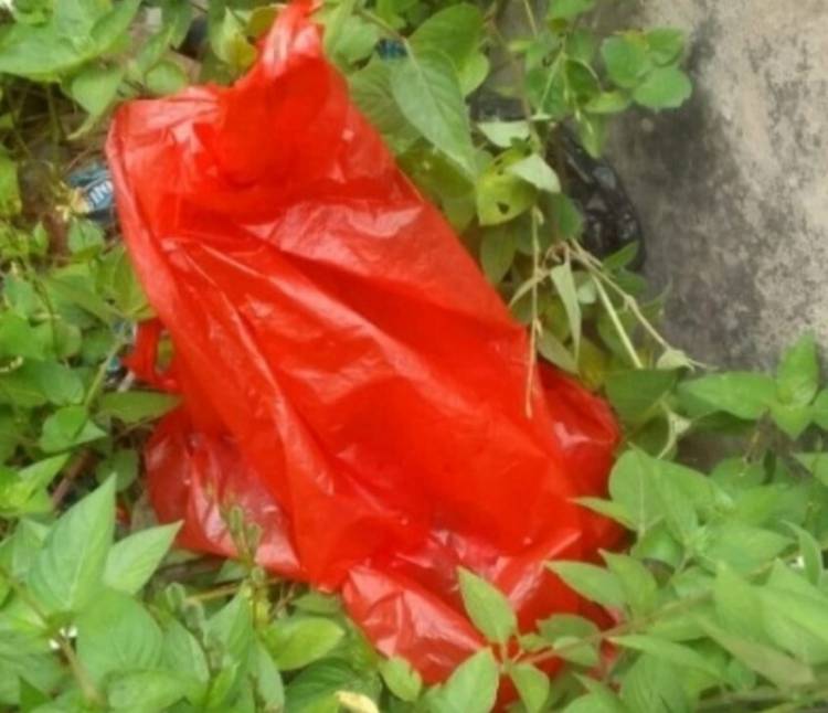 Biadab..., Bayi Dibuang Dalam Bak Sampah di Tanjung Palas