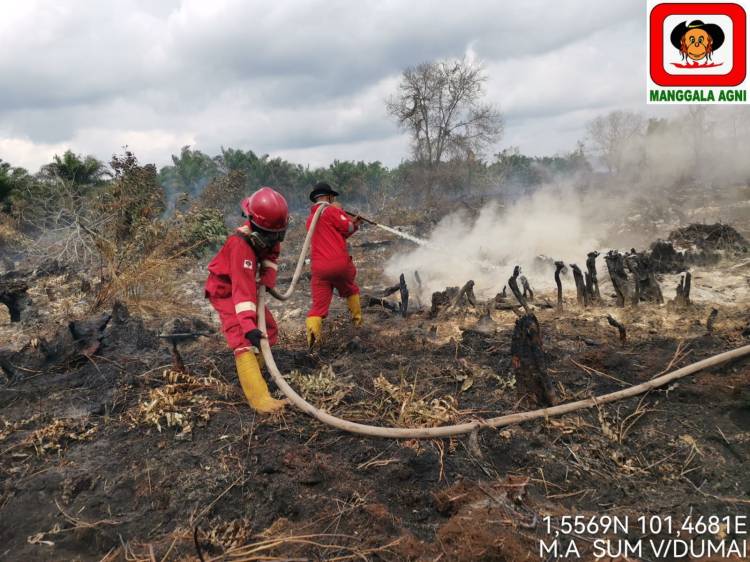 Karhutla Mengancam Dumai, Tim Gabungan Berjibaku Padamkan Api di Gurun Panjang