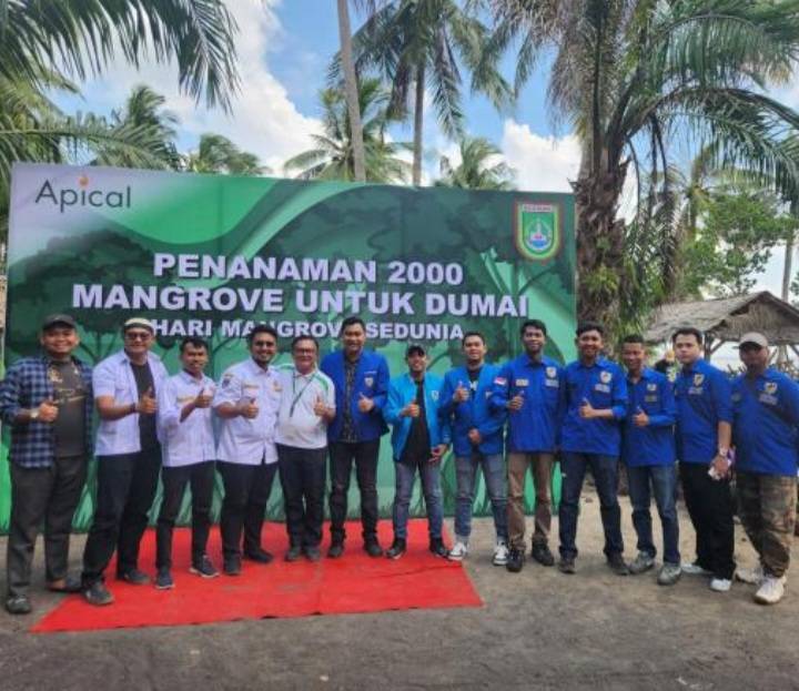 Apical Tanam 2000 Batang Mangrove di Pesisir Pantai Kota Dumai