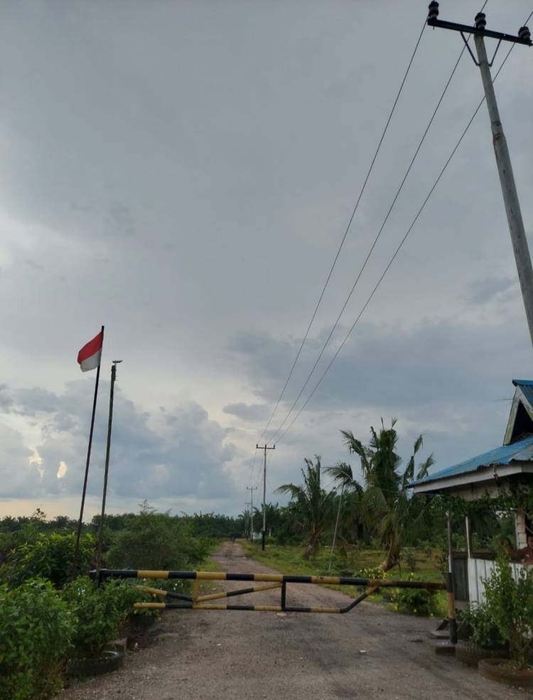 Wow..., Ada Perkebunan Sawit Besar di Lahan PT RUJ Dumai