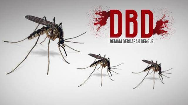 Pekanbaru Optimalkan Kader Jumantik