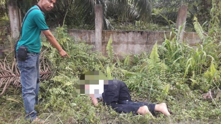 Mayat Pria Korban Pembunuhan Ditemukan dalam Kebun Sawit di Siak Hulu