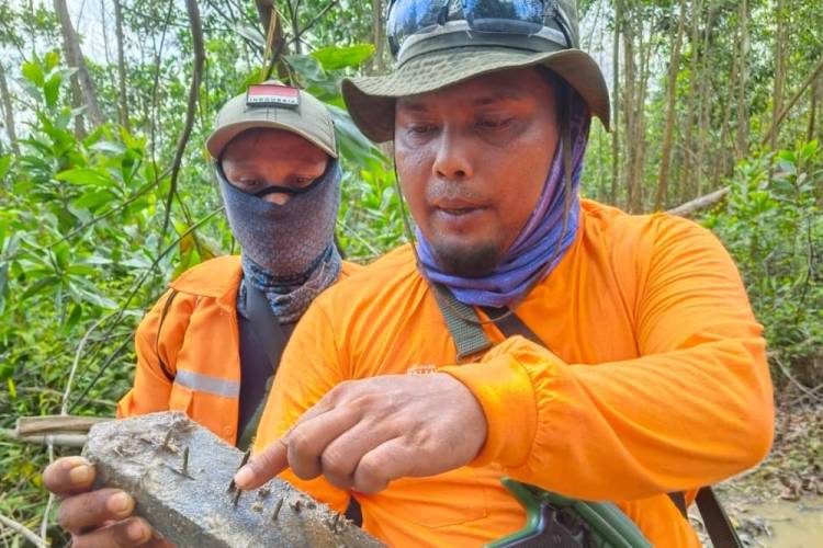 Gelar Operasi Senyap, Tim Gabungan Terkena Ranjau Yang Dipasang Perambah Hutan
