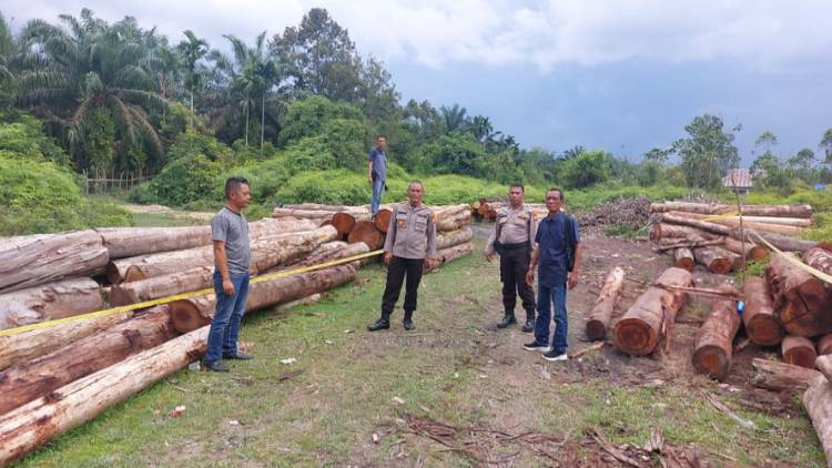 Kapolda Minta Jajaran Berantas Kasus Ilegal Logging di Riau