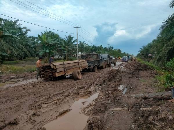 Mafia Kayu Sungai Sembilan Masih Aman