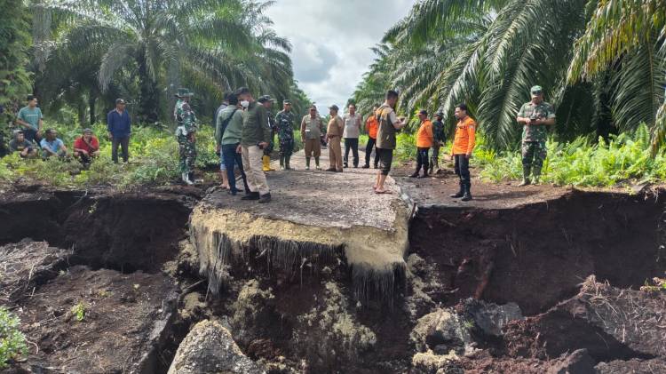 Abrasi di Bengkalis Semakin Mengancam, Ribuan Hektar Kebun Masyarakat Mulai Tergerus Abrasi