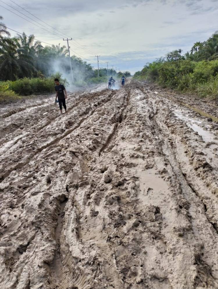 Perekonomian Masyarakat Lumpuh, Akses Jalan Buluhala Dumai Rusak Parah