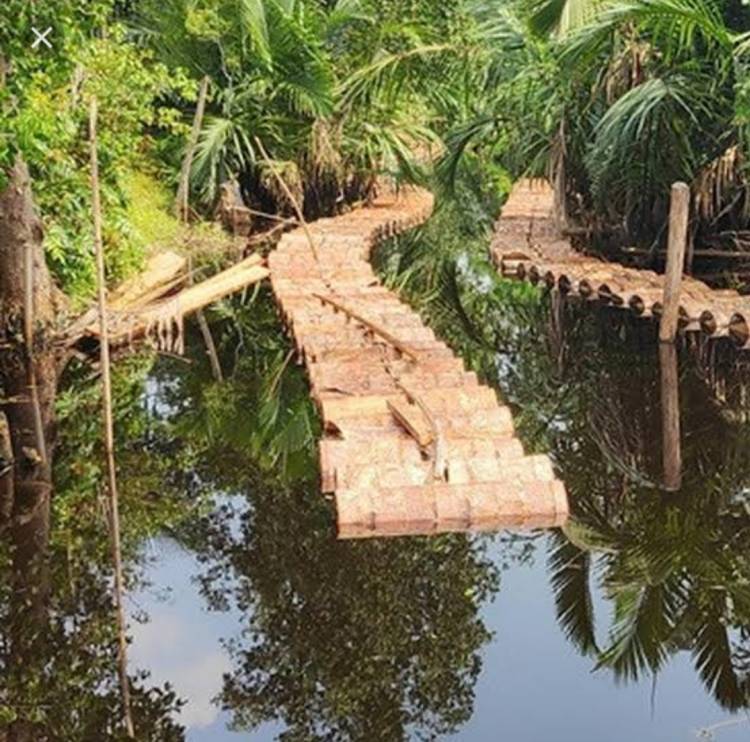 Buaya Terkam Pekerja Kilang Sagu di Kepulauan Meranti